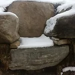 Miehl *