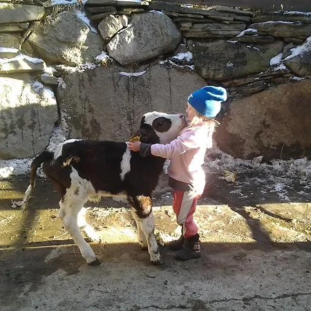 Miehl シャレー ハイリゲンブルート