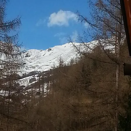 シャレー Miehl *