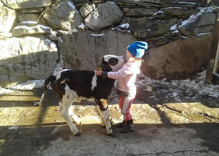 Miehl Chalet Heiligenblut